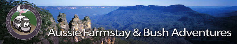 Aussie Farmstay & Bush Adventures